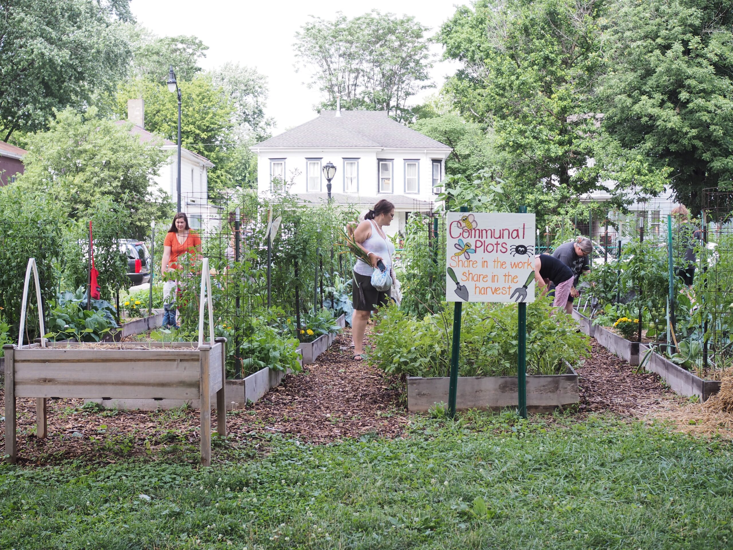 We garden together at Enos Park Neighborhood Gardens from 9 - 11 a.m. on Tuesdays, Thursday, and Saturdays from May through September.